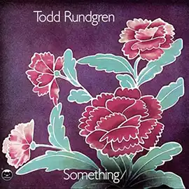 Something / Anything album cover