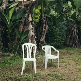 DeBÍ TiRAR MáS FOToS - Bad Bunny album cover