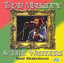 Soul Shakedown album cover