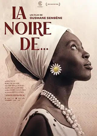 DVD cover for the movie Black Girl