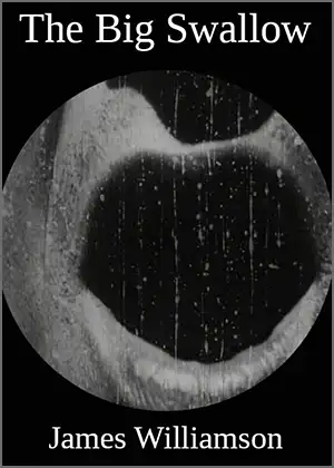 Poster for the movie The Big Swallow