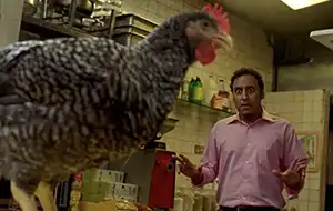 Kitchen scene with live chicken from the movie Today's Special