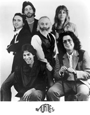 The Turtles