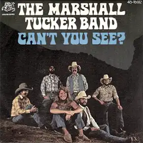 an't You See an't You See single cover